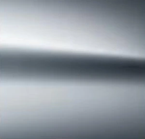 하이테크 실버