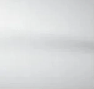 폴라 화이트